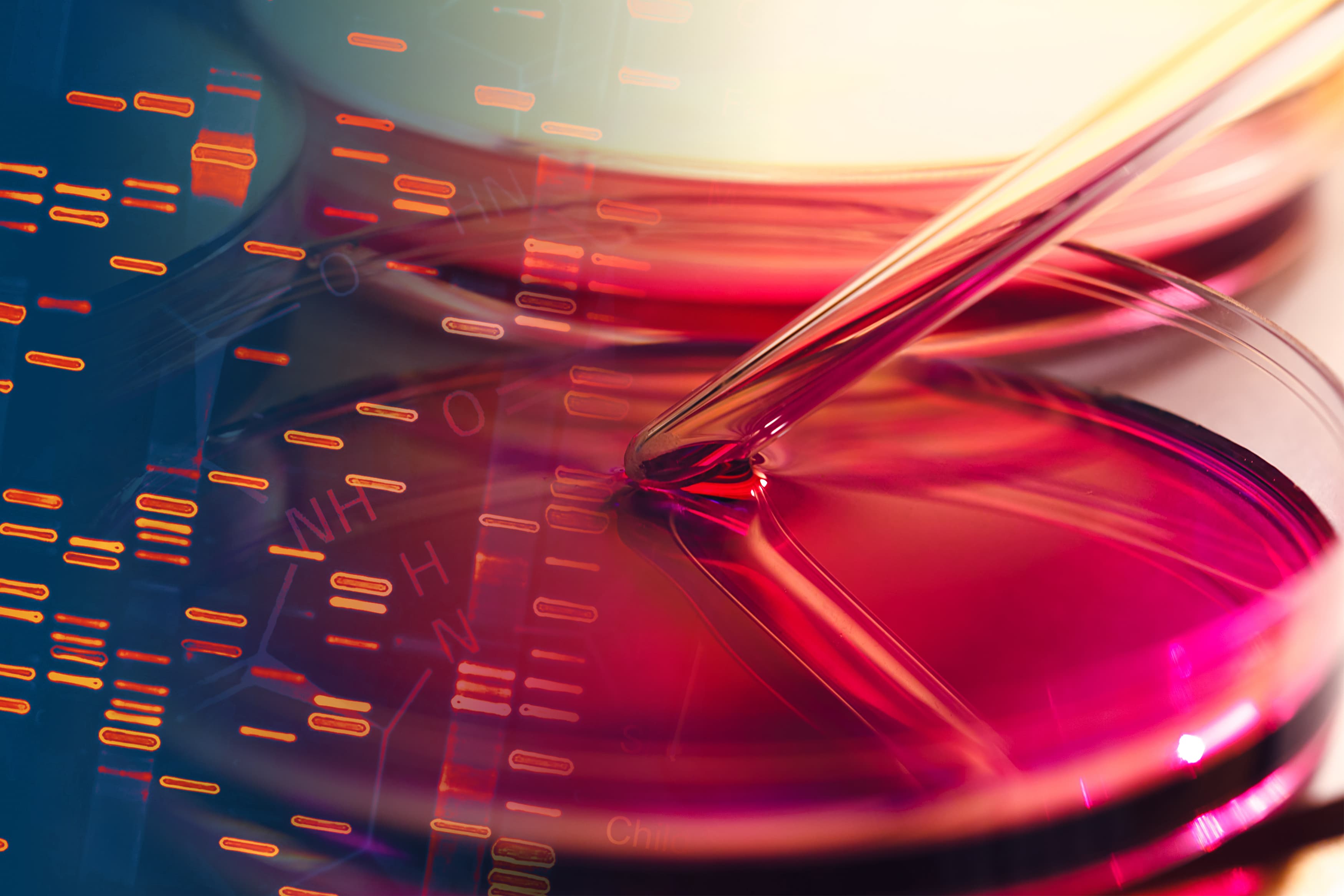 The cancer cell information revolution