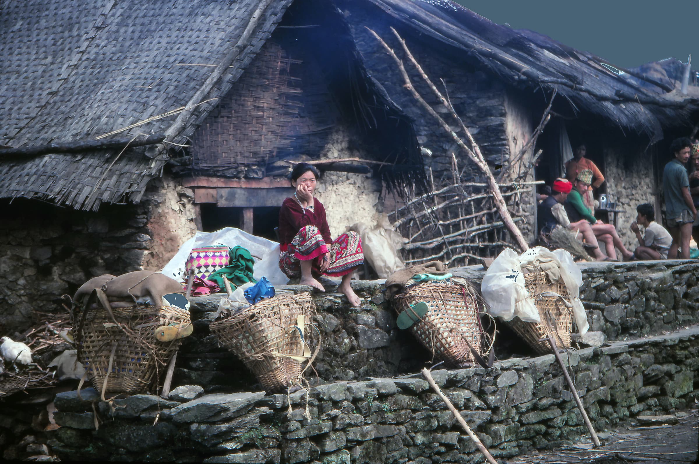 The contribution of the anthropologist