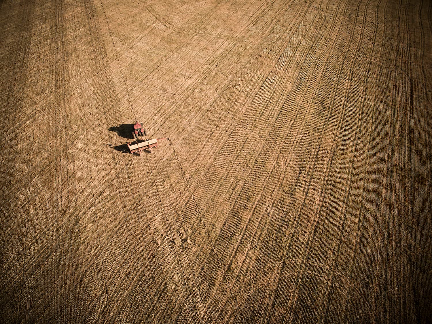 Deforestation and climate change