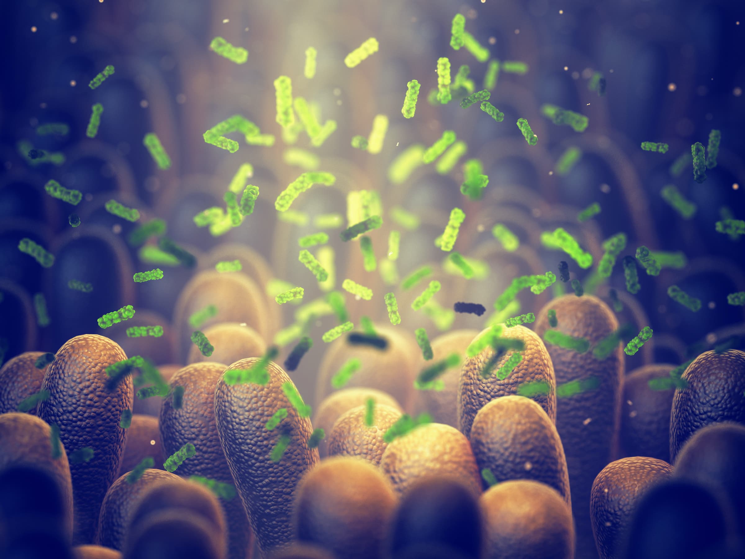 How organs change and communicate