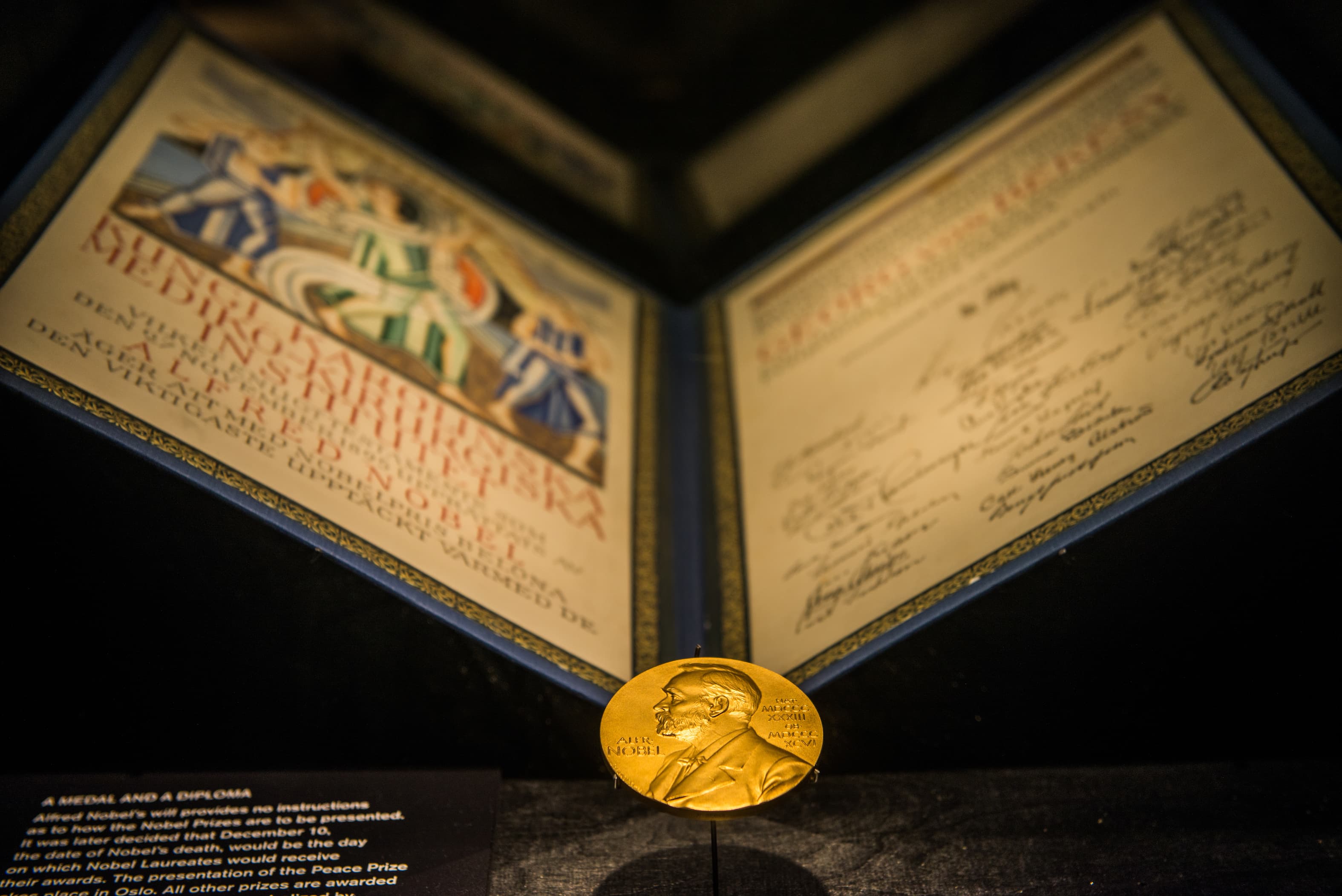 What do we mean by excellence in science?