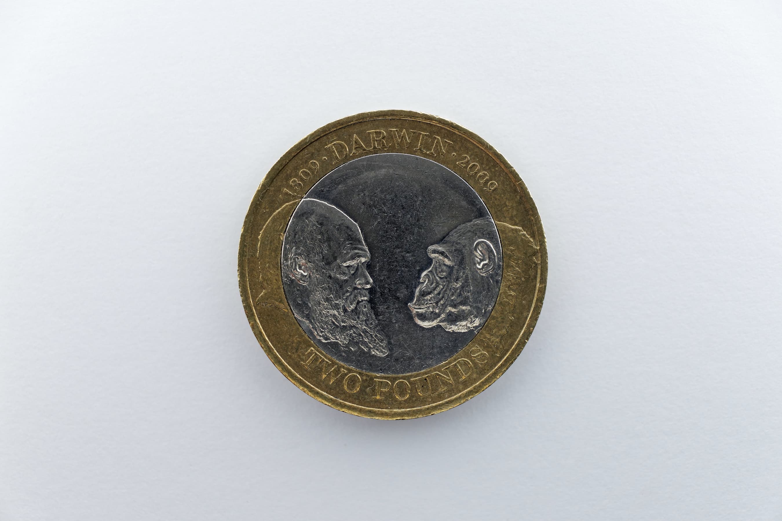 Darwin's thoughts on human nature