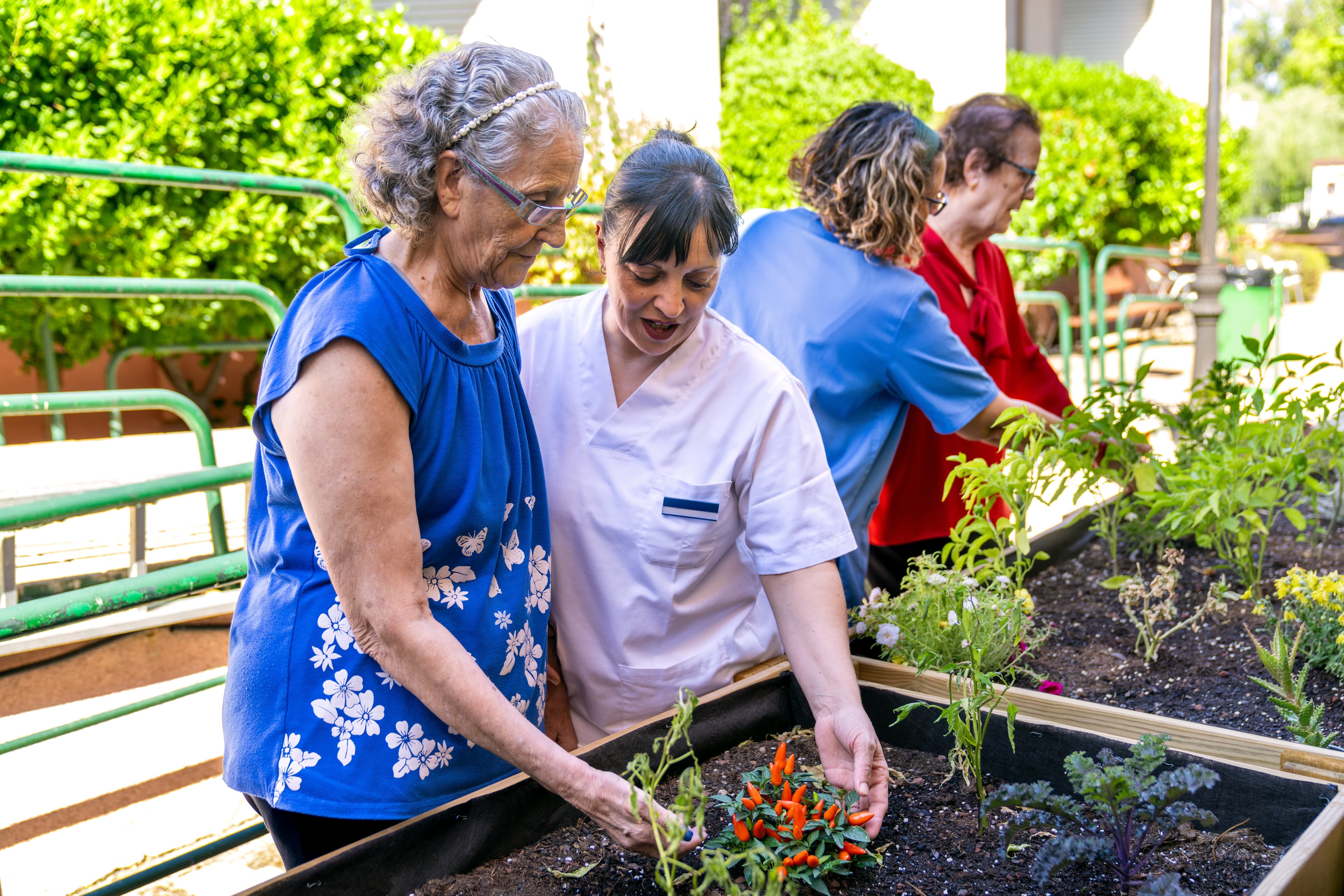 Social prescribing: rethinking health