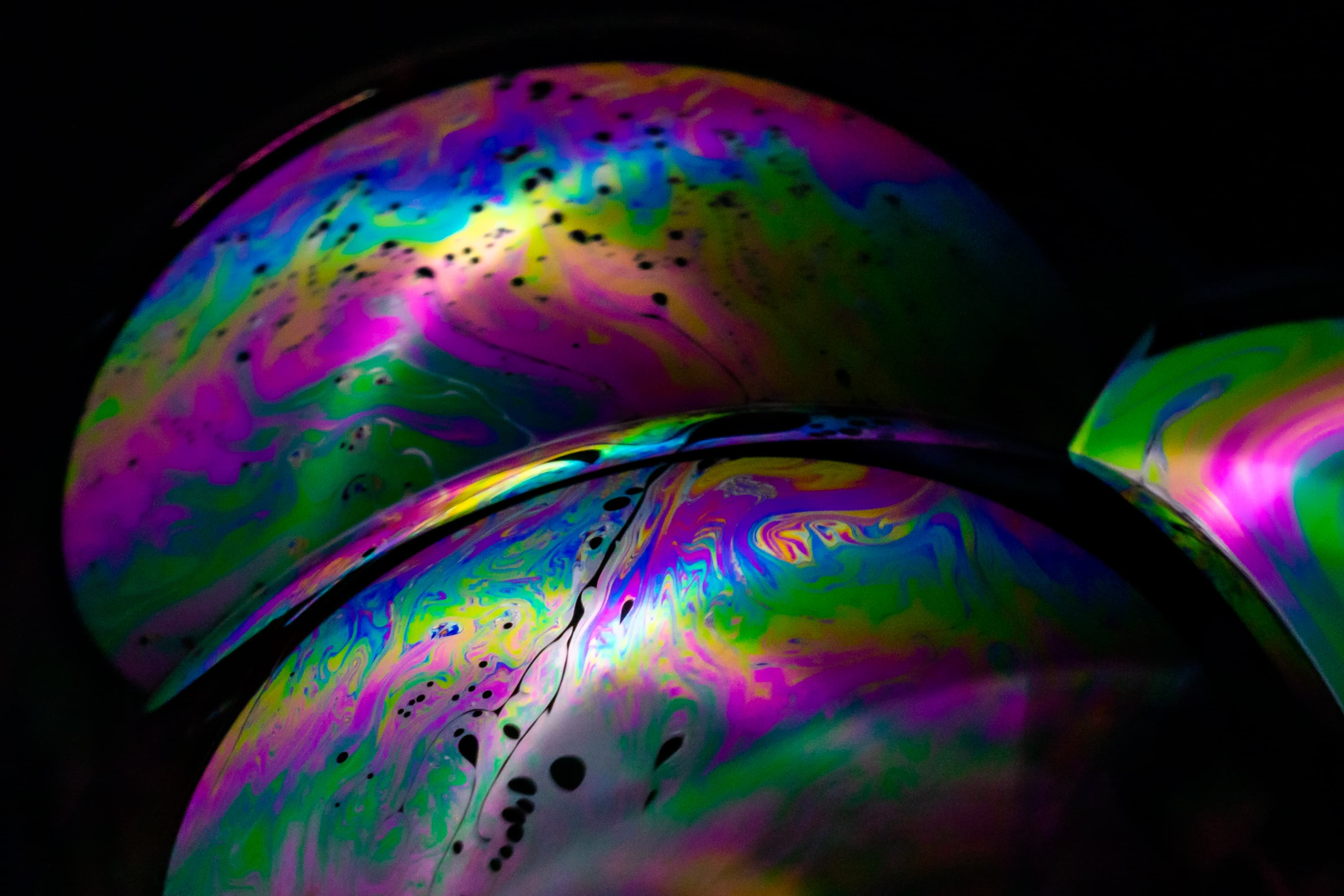 Understanding the role of color in nature