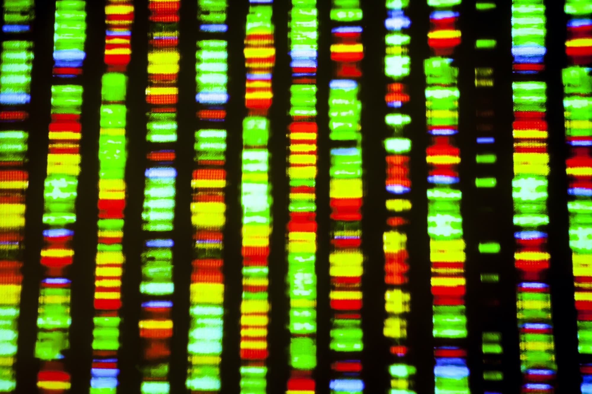 How cellular software can help us to decode cancer