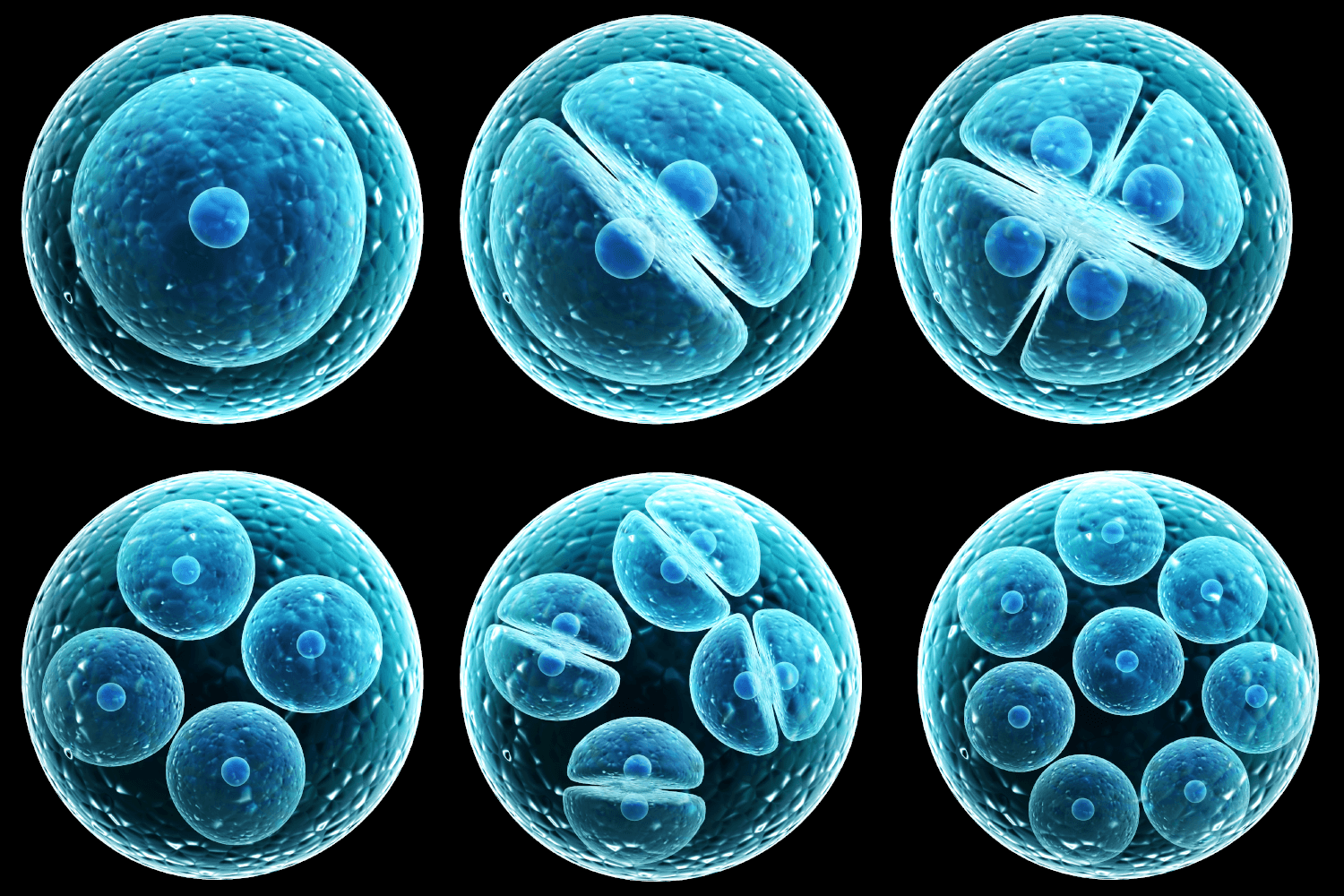 Cancer: the selfish cell