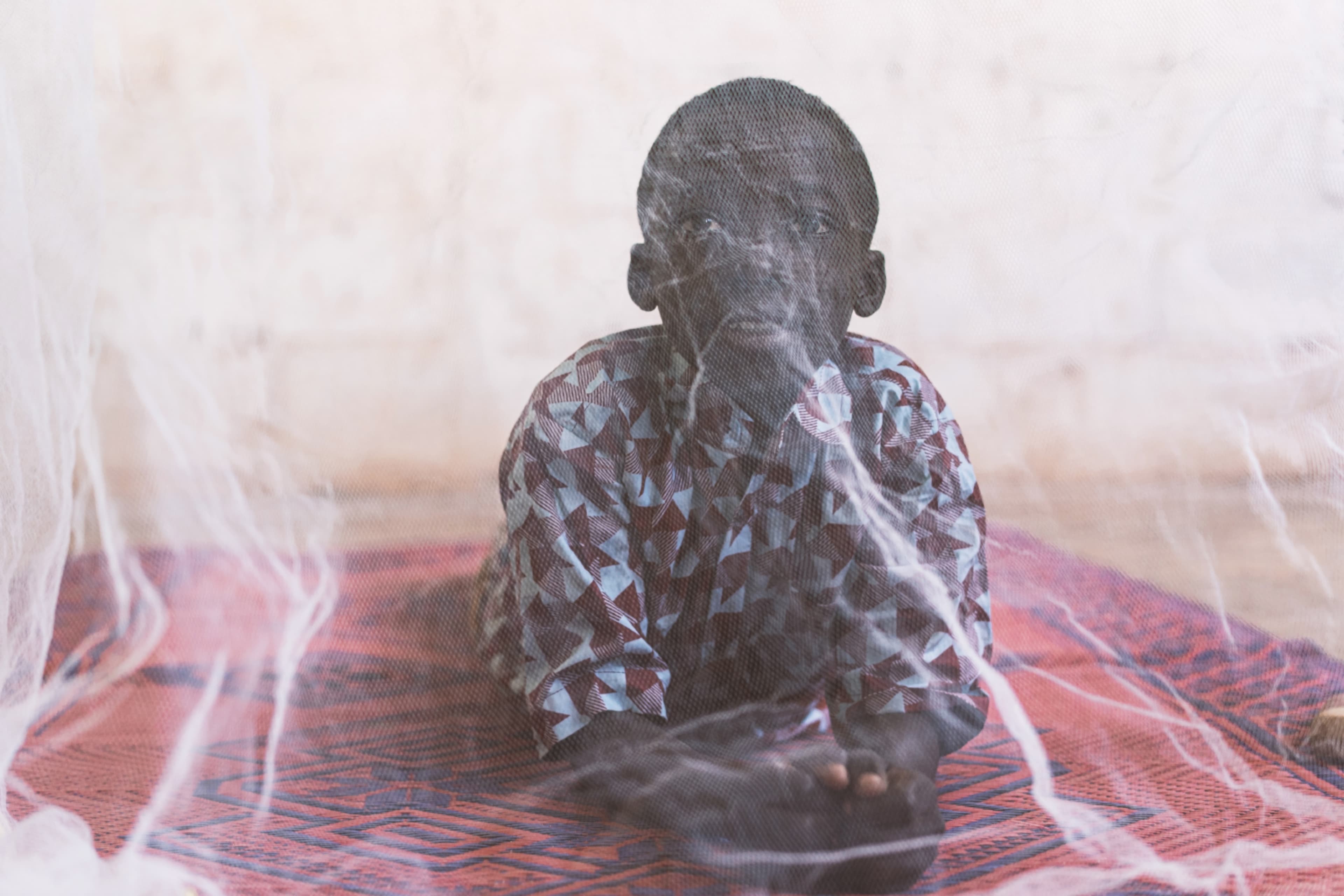 Building barriers against malaria