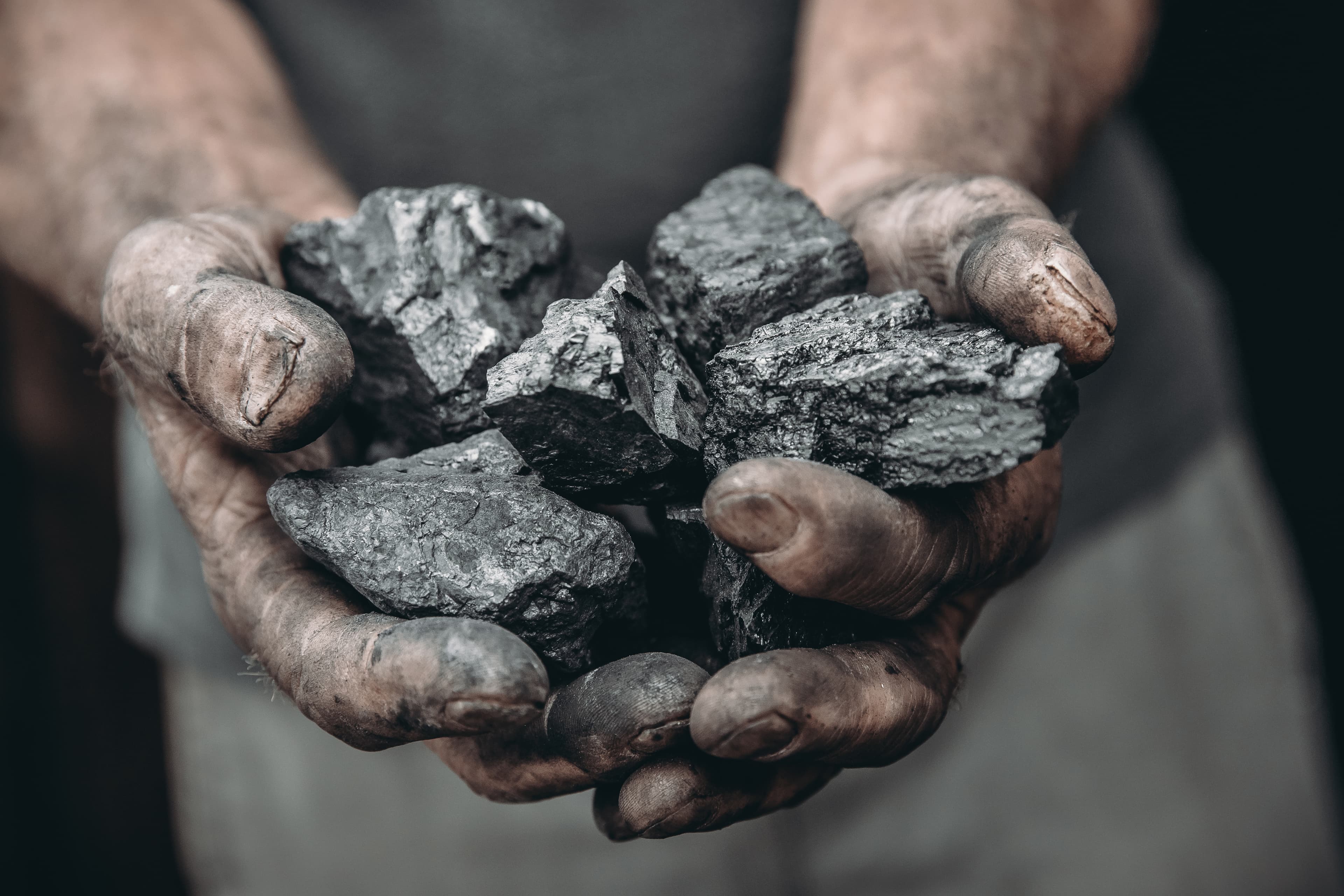 A net zero future
