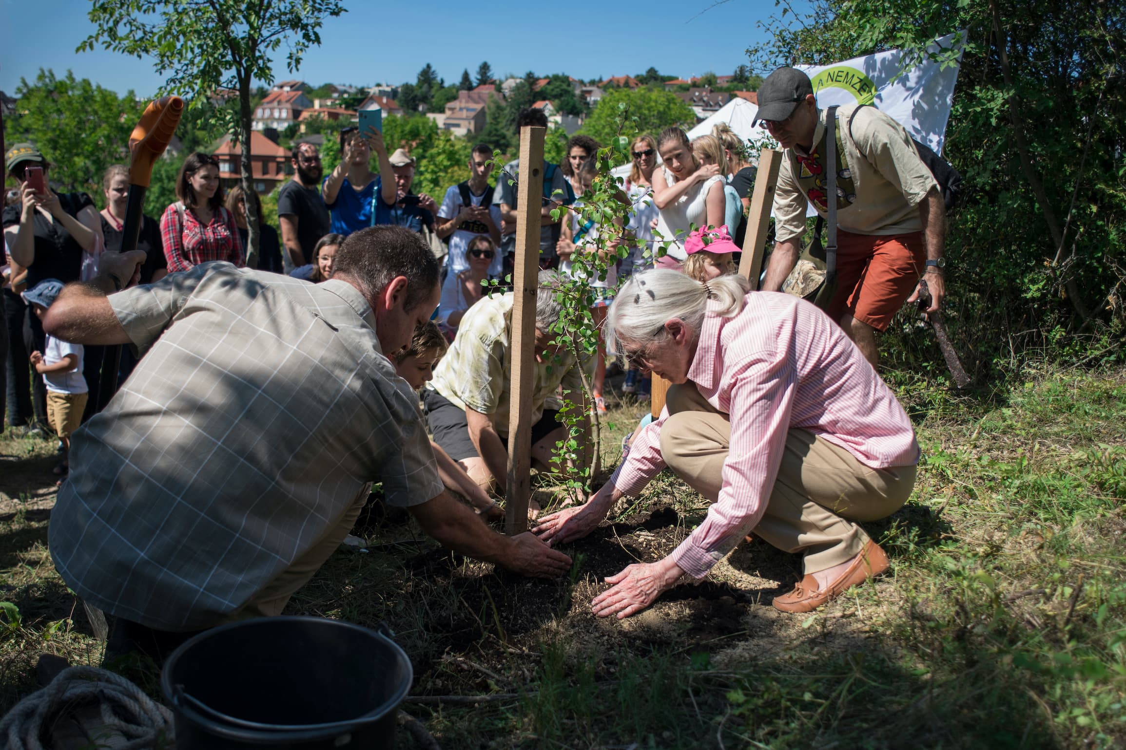Designing successful conservation strategies