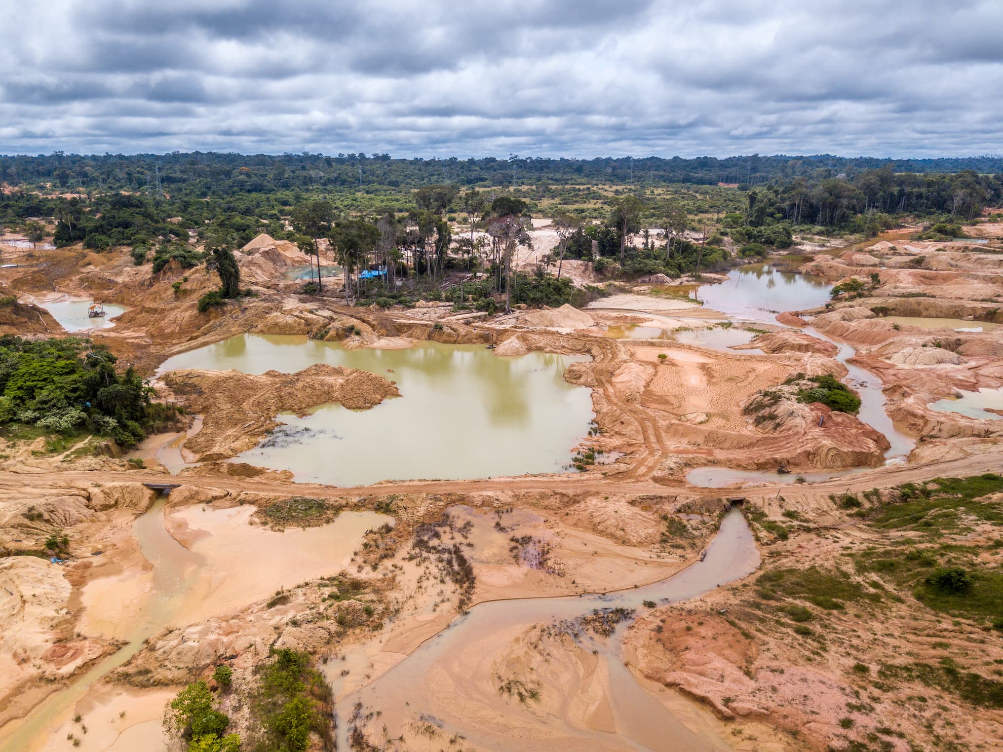 Land conversion and the end of the wild