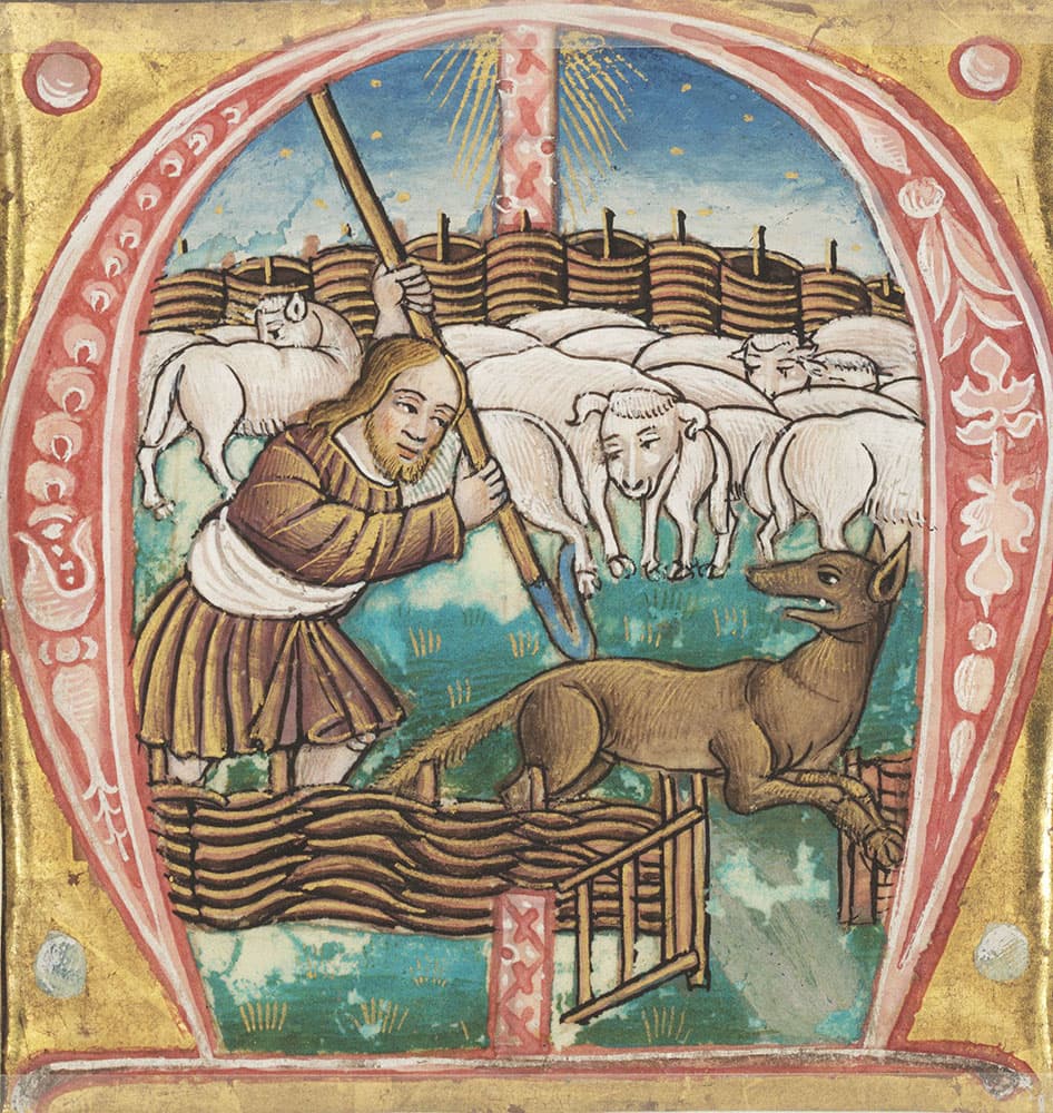 Nostalgia in the 14th century