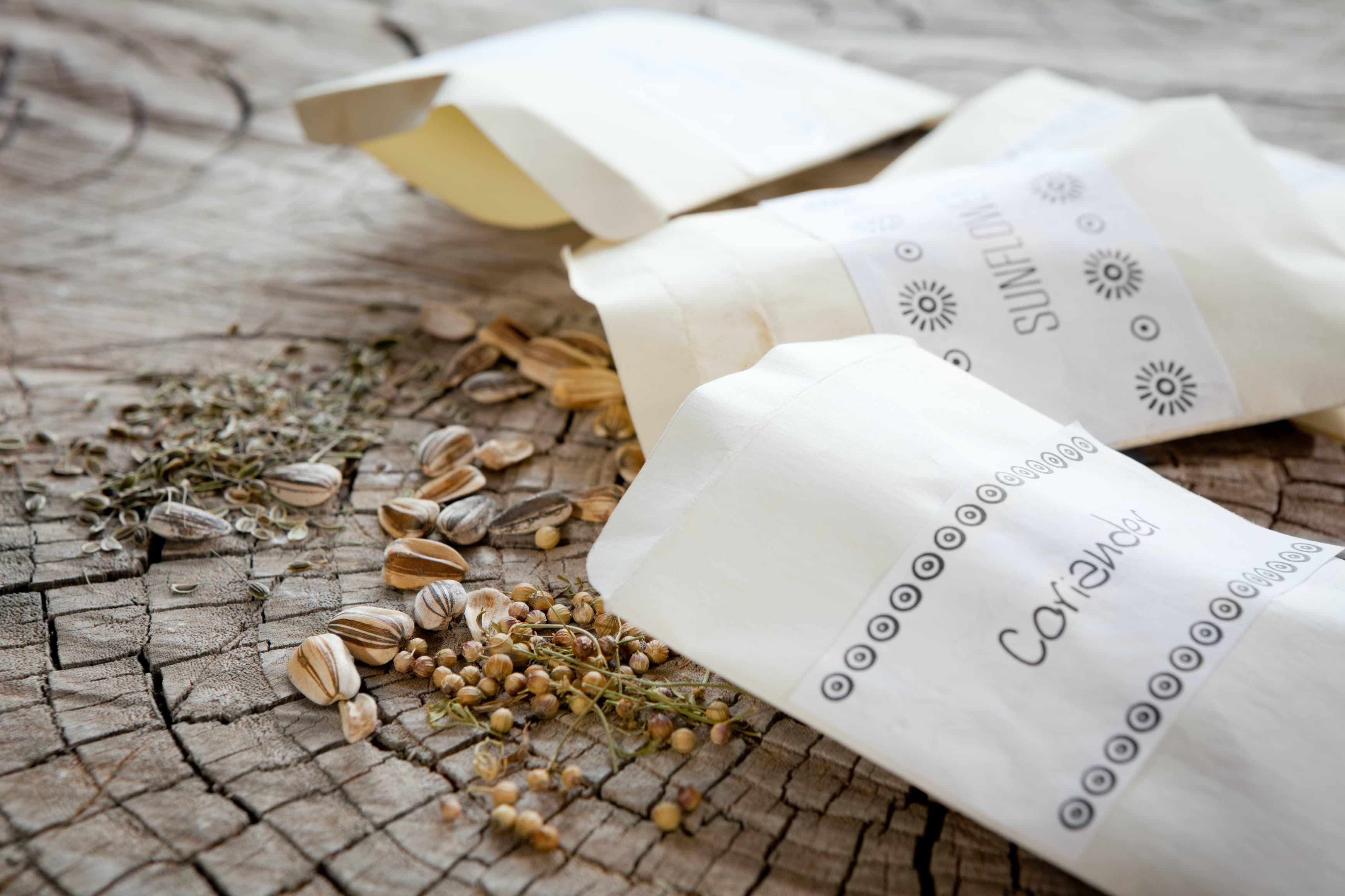 Seed savers and gardeners