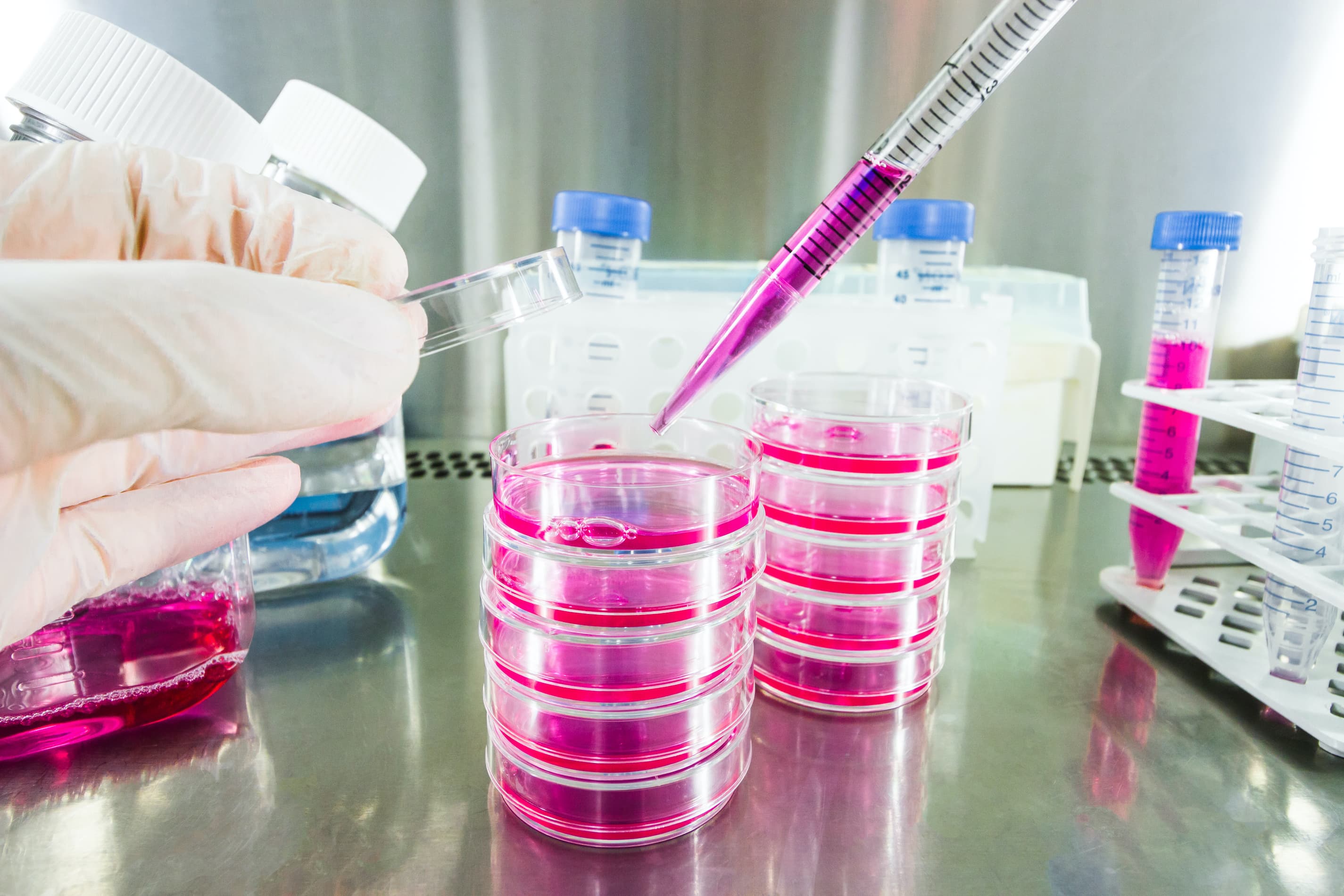 On being a cancer researcher