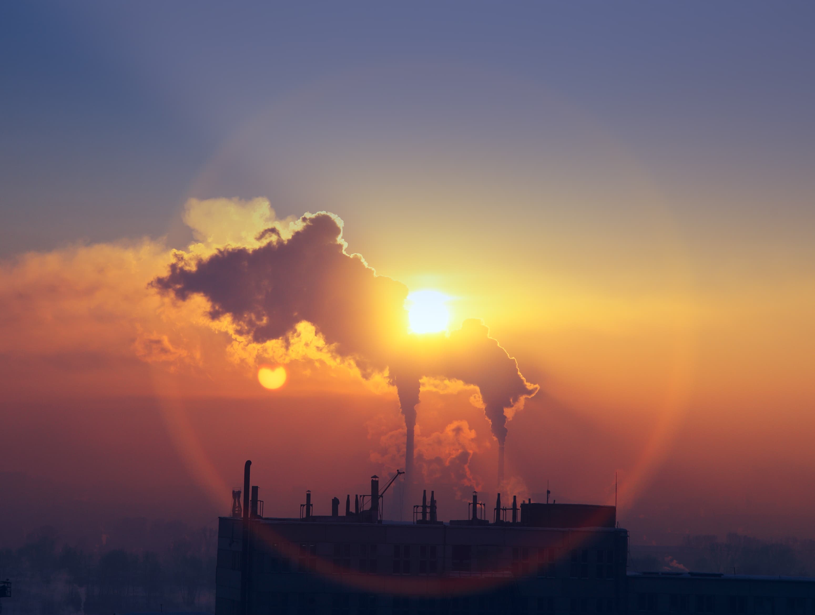 Ecocide: a fifth international crime?