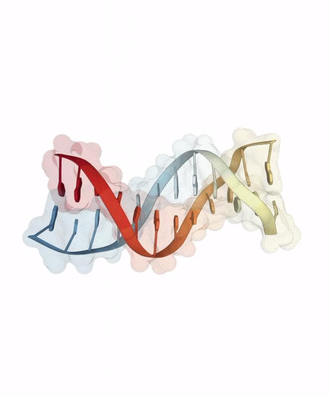 The living book of DNA