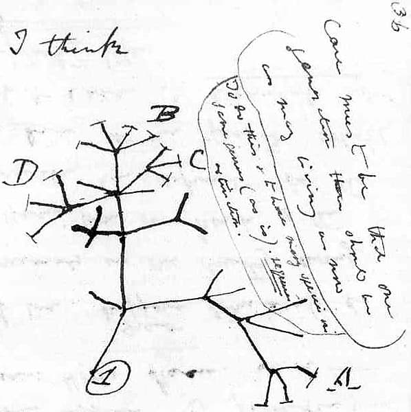 A brief history of reproduction