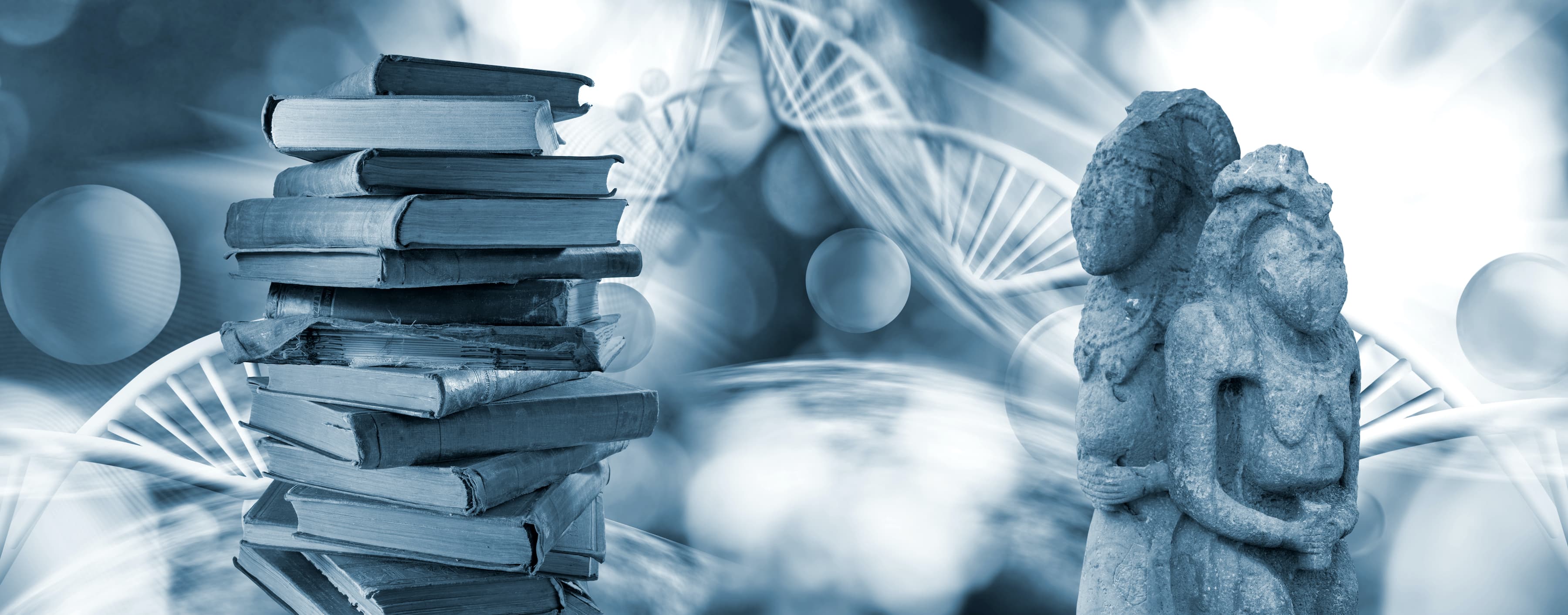 Understanding the process of DNA replication