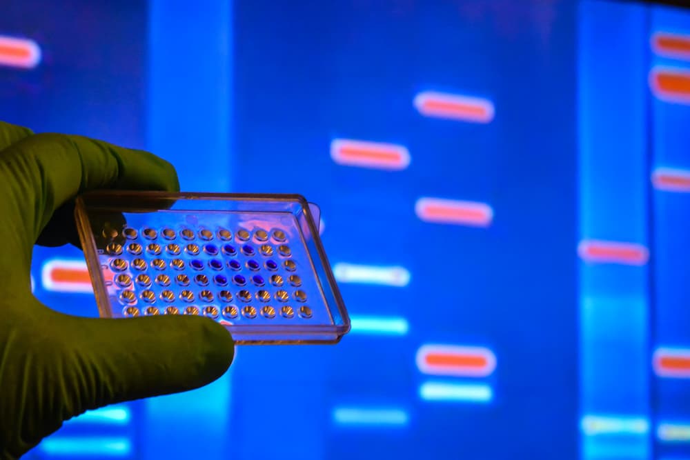 Going beyond DNA: the science of epigenetics