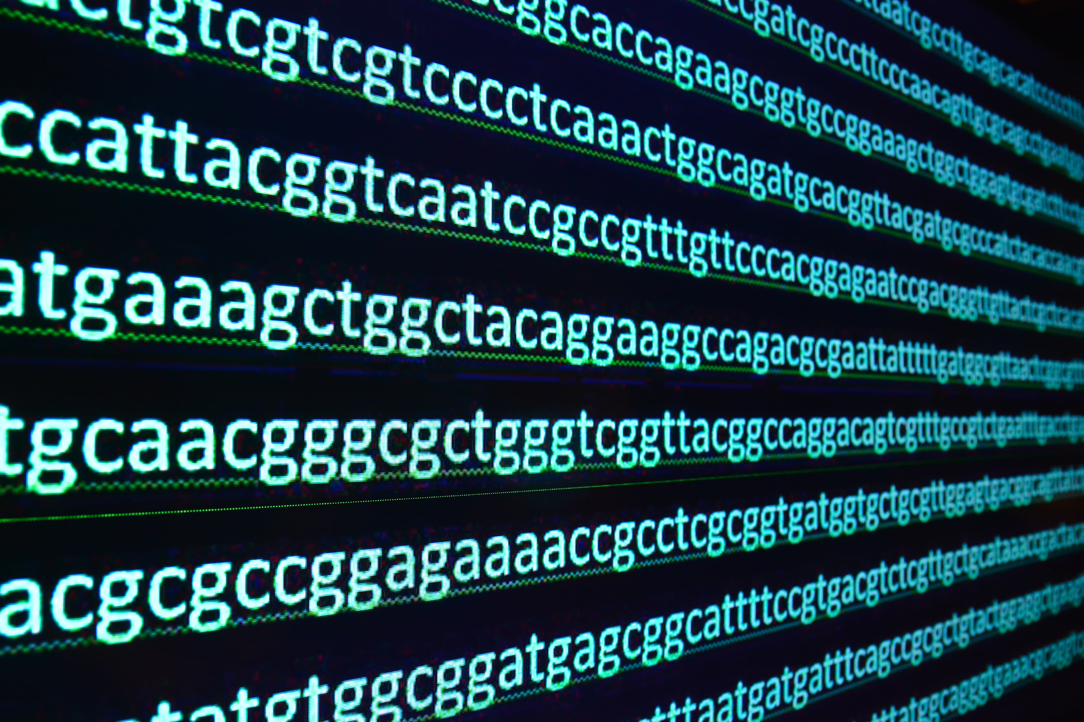 The immensity of the human genome